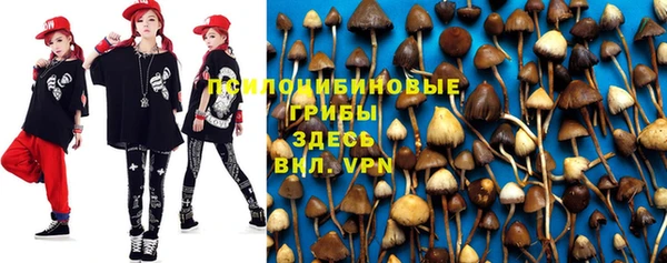 spice Заволжск